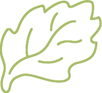 Haymakers green leaf