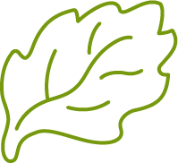 Haymakers green leaf